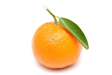 Image showing Mandarin