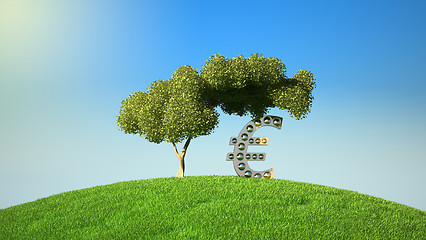 Image showing Euro symbol under tree on green fileld