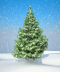 Image showing Snowbound Christmas firtree
