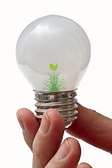 Image showing Eco Light Bulb