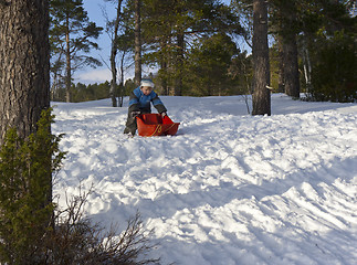 Image showing Child with sled