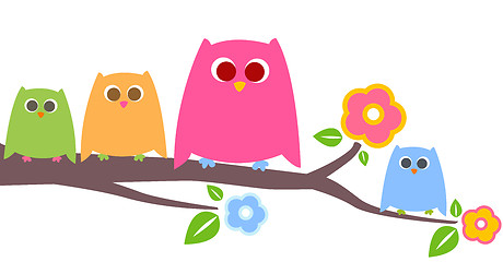 Image showing owls 