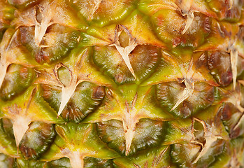 Image showing Pattern of surface pineapple close-up