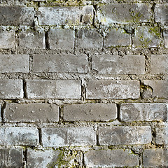 Image showing Seamless texture from dirty moldy brick wall