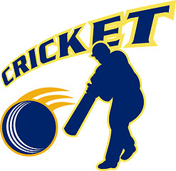 Image showing cricket sports player batsman batting