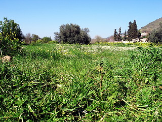 Image showing Green Spring. Galata. Cyprus