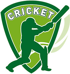 Image showing cricket sports player batsman