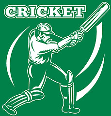 Image showing cricket sports player batsman