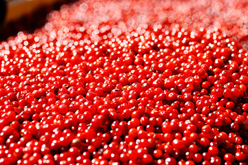 Image showing Cranberries