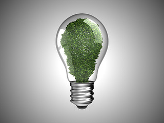 Image showing Renewable energy. Lightbulb with green plant