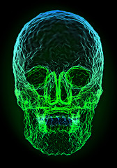 Image showing Abstract colorful skull shape