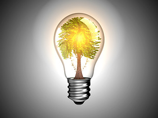 Image showing Lightbulb with tree inside it and light