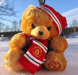 Image showing Manchester United Mascot