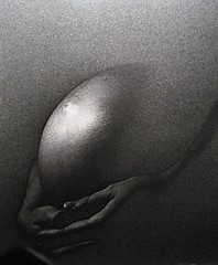 Image showing Pregnant - Analog photo on B/W film. Silvergrains can easily be seen.