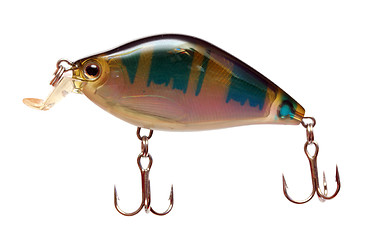 Image showing wobbler for fishing