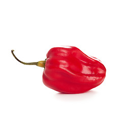 Image showing red chili pepper on the white background