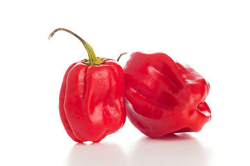 Image showing red chili peppers on the white background