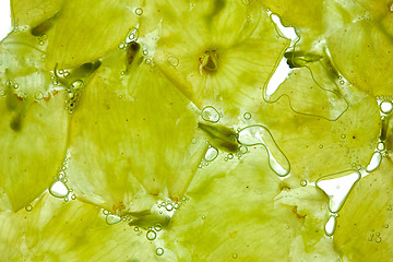 Image showing Crushed white Grapes