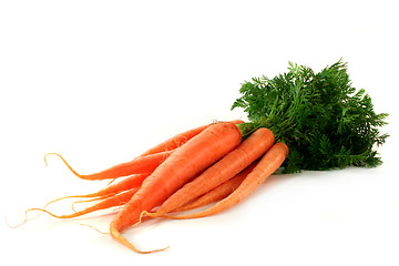 Image showing Carrot