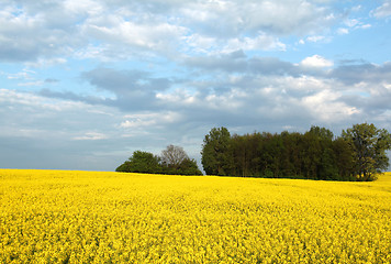 Image showing Colorful spring landscape