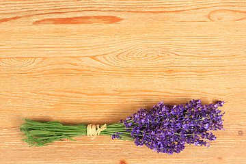 Image showing Lavender