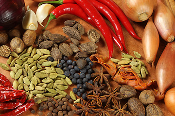 Image showing Spices and herbs