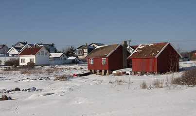 Image showing Winter