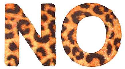 Image showing Leopard fur N and O letters isolated