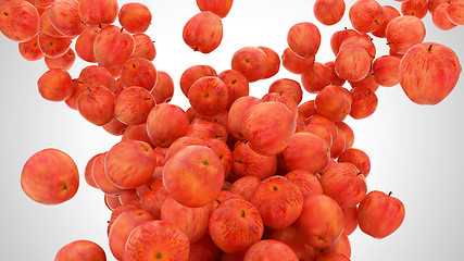 Image showing Ripe Red apples flow 