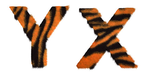 Image showing Tiger fell X and Y letters isolated