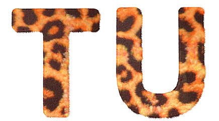 Image showing Leopard fur T and U letters isolated