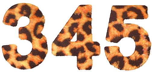 Image showing Leopard skin 3 4 and 5 figures isolated