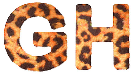 Image showing Leopard fur G and H letters isolated 