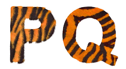 Image showing Tiger fell P and Q letters isolated 