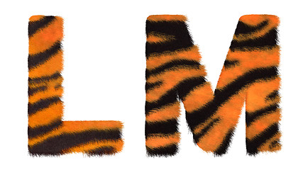 Image showing Tiger fell L and M letters isolated