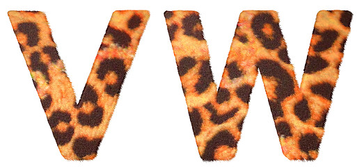 Image showing Leopard fur V and W letters isolated