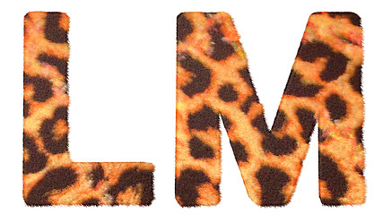Image showing Leopard fur L and M letters isolated 