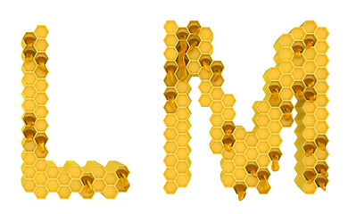 Image showing Honey font L and M letters isolated