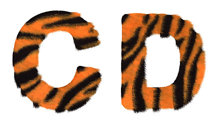 Image showing Tiger fell C and D letters isolated