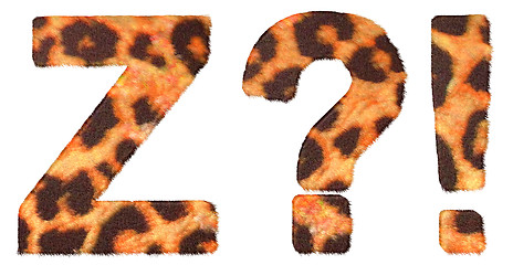 Image showing Leopard fur font Z and Wow, What symbols 