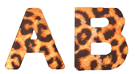 Image showing Leopard fur A and B letters isolated
