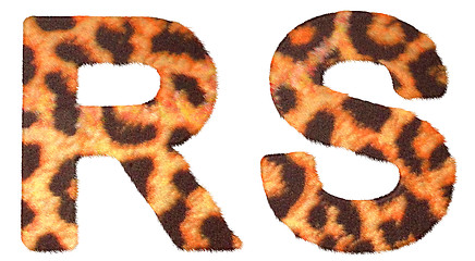 Image showing Leopard fur R and S letters isolated