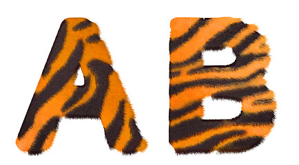 Image showing Tiger fell A and B letters isolated