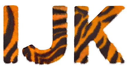 Image showing Tiger fell I J and K letters isolated