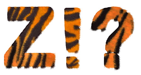 Image showing Tiger fell font Z and Wow What symbols