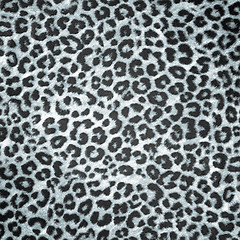 Image showing BW Leopard skin background or texture