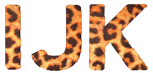 Image showing Leopard fur I J and K letters isolated