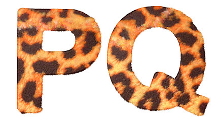 Image showing Leopard fur P and Q letters isolated