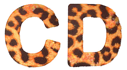 Image showing Leopard fur C and D letters isolated