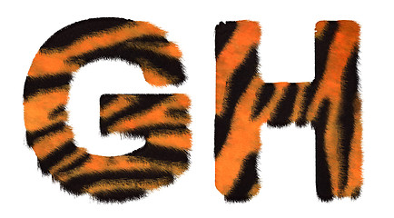 Image showing Tiger fell G and H letters isolated